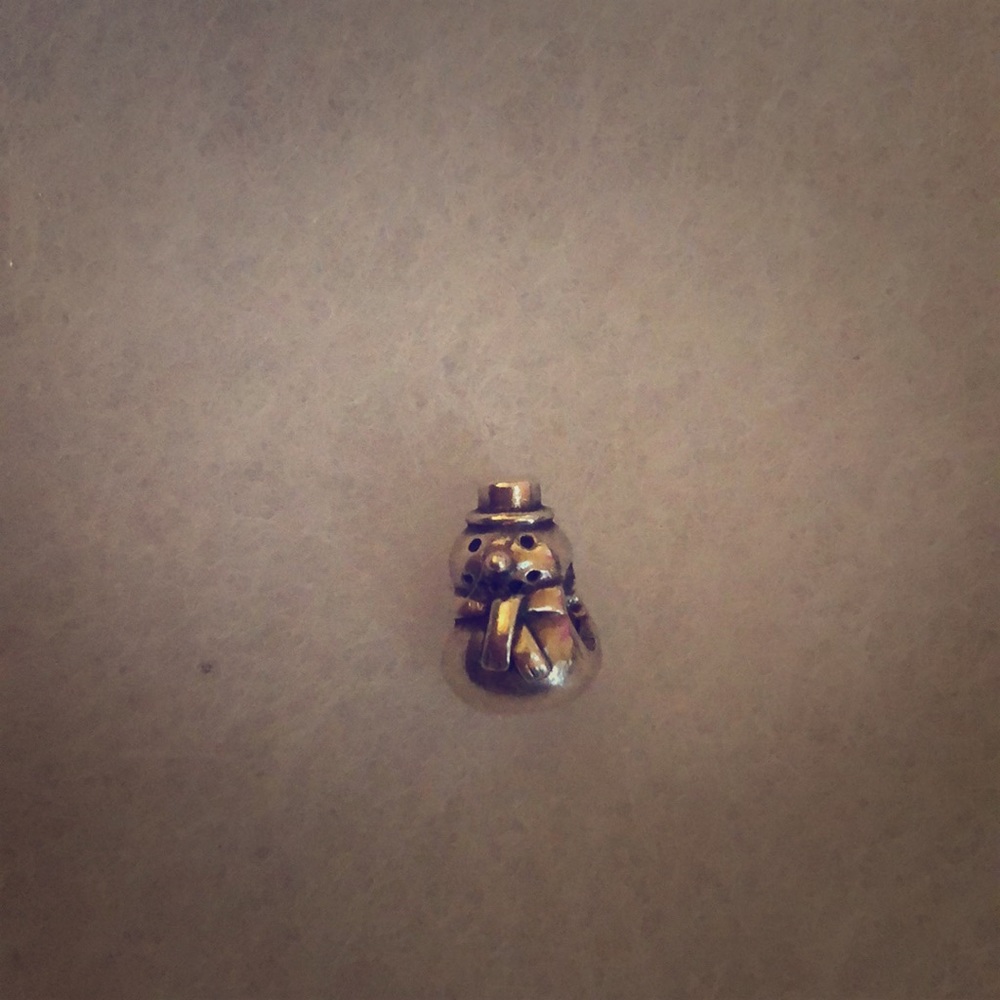 Pandora charm